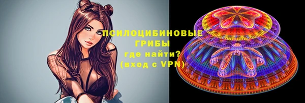 соль курить ск Бородино