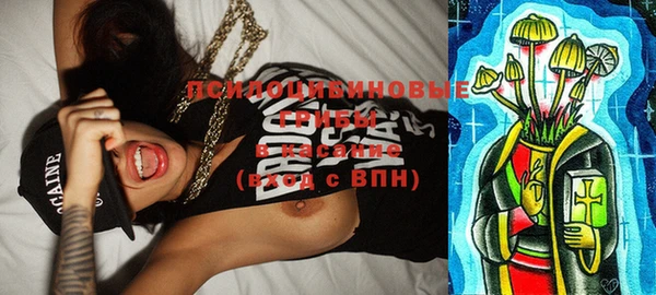 тгк Бугульма