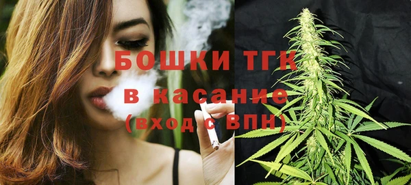 молекула духа Бронницы