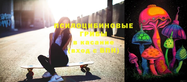 соль курить ск Бородино