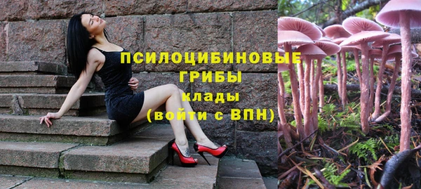 соль курить ск Бородино