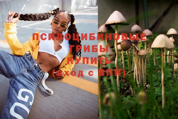 тгк Бугульма