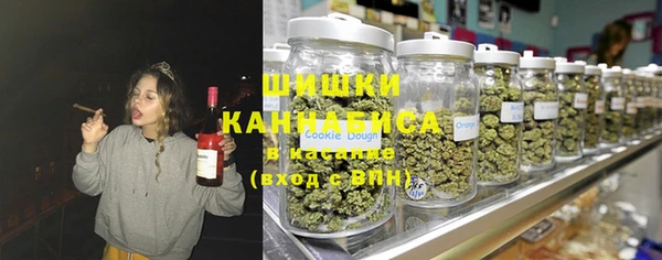 молекула духа Бронницы