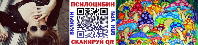 Купить закладки  Коломна  Псилоцибиновые грибы Psilocybe 